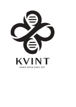 Kvint